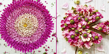 Çiğ Beslenmenin de İştah Açıcı Olabileceğinin Kanıtı Gerçek Çiçekleri Andıran 13 Vegan Pasta