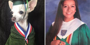 Aile Fotoğraflarını Köpeğininkilerle Değiştirerek Annesini Sağlam Trolleyen Kız