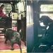 Kendi Kendini Parka Gezmeye Götüren Köpeğin Sevimli Otobüs Yolculuğu