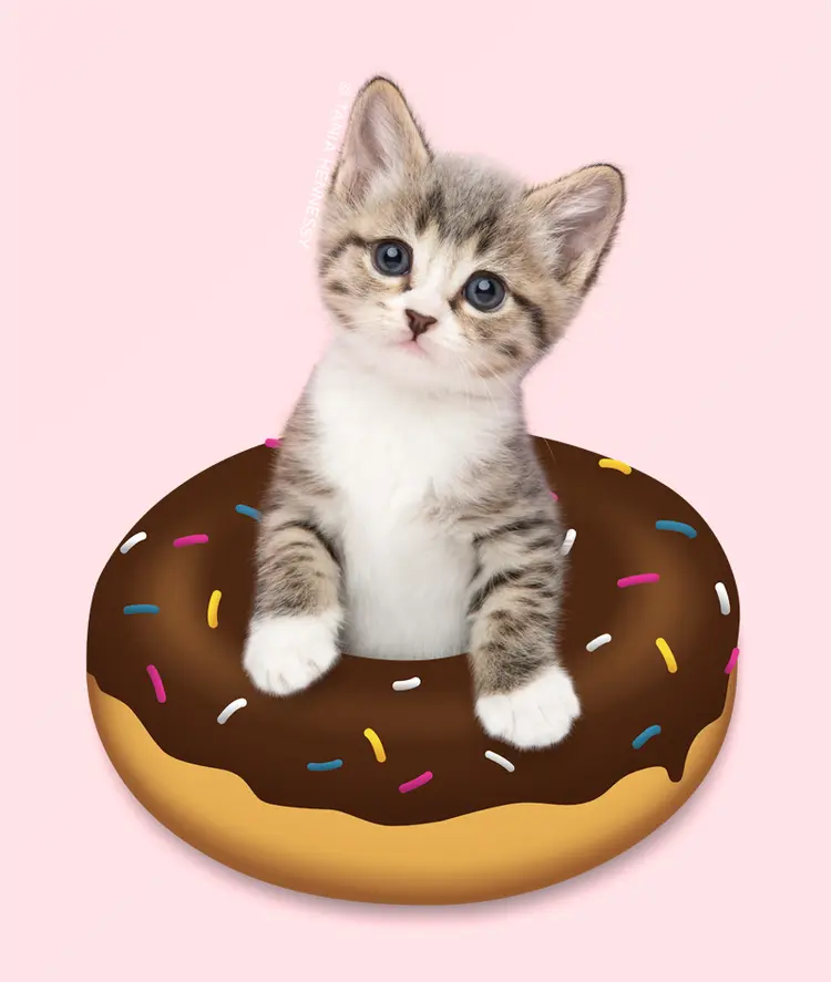emoji_kedi (3)