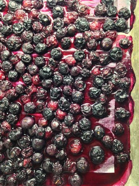 gallery-1436564414-roasted-blueberries-delish-2