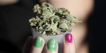 Regl Sancısı İçin Yasal Olarak Esrar Kullanımını Onaylayan Yasa Tasarısı