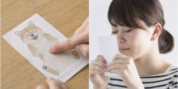 Sevmeye Doyamadığınız Kedi ve Köpek Göbüşlerini Koklayabileceğiniz Okşama Kartları