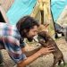 Hayatını Çöplük Köpeklerine Adayan Hayvansever Genç: Gökçer Korkmaz