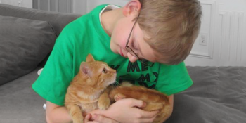 Sahiplenildikleri İlk Günün Fotoğrafında Bile Huzuru Görebileceğiniz 21 Mutlu Pati