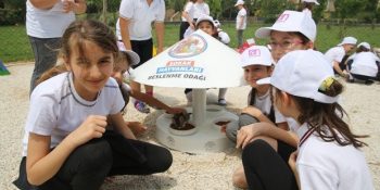 Bursa’nın İlkokul Öğrencilerinin El Emekleriyle Açılan İlk Kedi Parkı: Mutlu Patiler