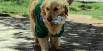 Eskişehir’in En Sevimli ve Çevreci Temizlik Görevlisi: Abdiş