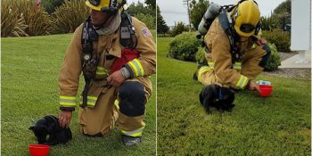 Yangından Kurtarılan Yavru Köpeğin Üzücü Yaşam Koşullarında Verdiği Mücadele