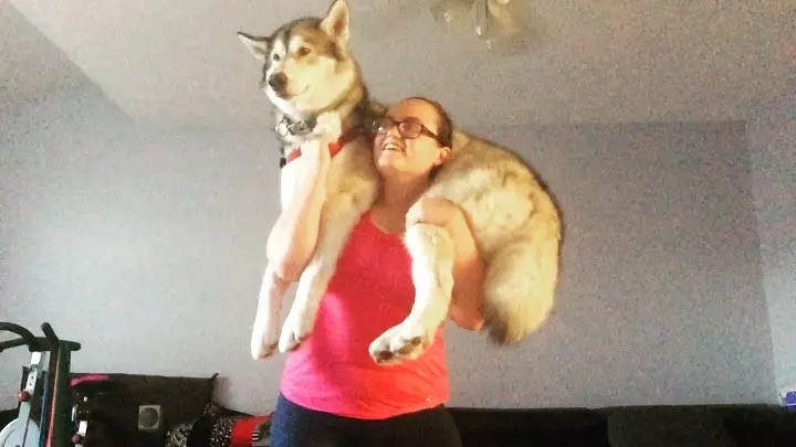 köpeklerle_squat (15)