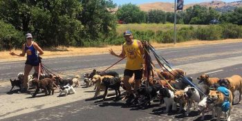 Hayatlarını Köpeklerle Geçirmeye Adamış Bir Çift ve Onların Süper Köpek Kulübü