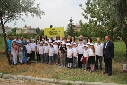 mutlu_patiler_kediparki (2)