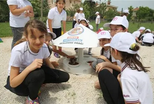 mutlu_patiler_kediparki (3)
