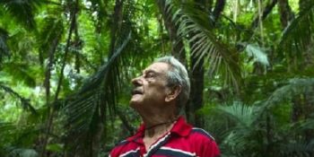 40 Yıl Boyunca Yılmadan Çalışarak Tek Başına Koca Bir Yağmur Ormanı Yaratan Adam