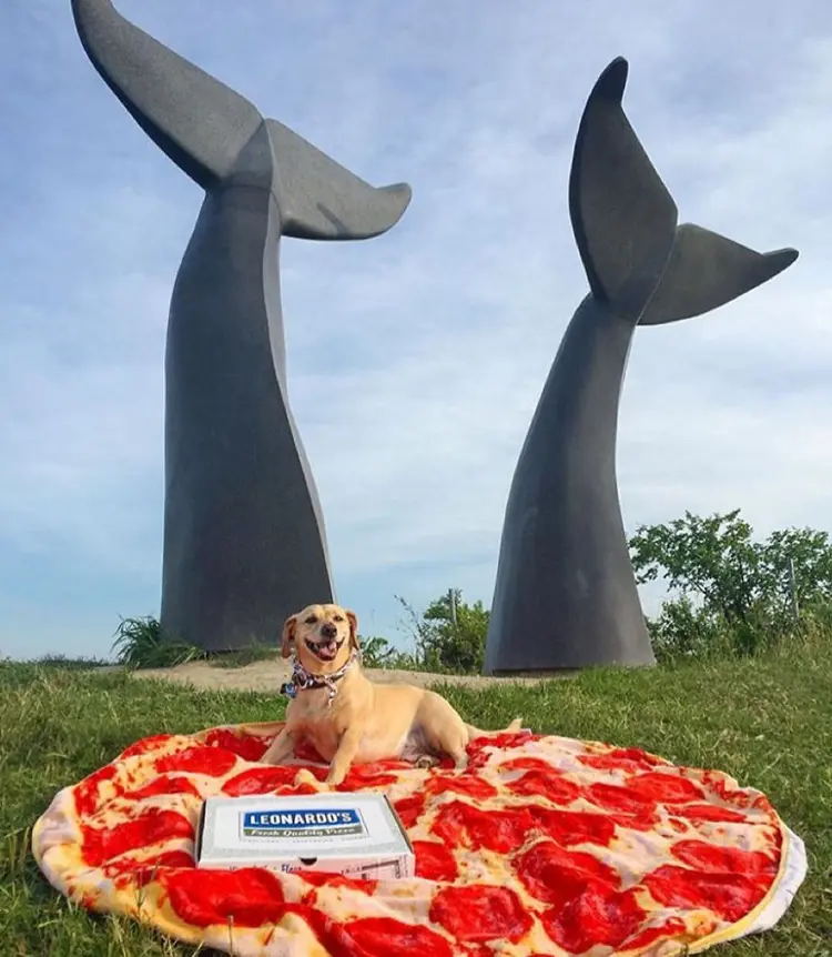 pizza_kopek (12)