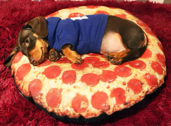 pizza_kopek (16)
