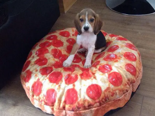 pizza_kopek (6)