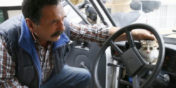 İzmir’de Otomobilini Kediler İçin Revir ve Yuva Haline Getiren Yüreği Büyük Adam