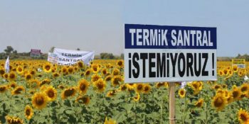 Bereketli Topraklara Sahip Trakya’ya Termik Santral Yapılmaması İçin 9 Neden