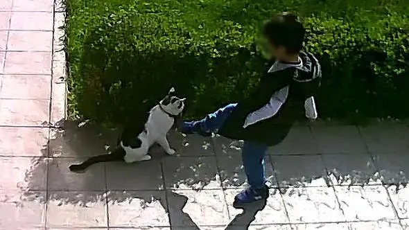 turgay_ozdemir_eskisehir (10)