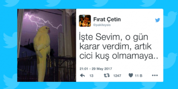 Okurken Keyfinizi Yerine Getirecek Haftanın En Güzel 16 Tweeti