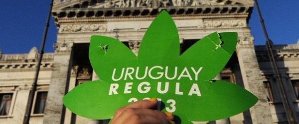 11-uruguayda-eczaneler-marihuana-satacak,G4HyaogQ2U2leZPYHgCAEQ