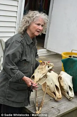 42A40AEF00000578-4725504-Over_the_years_Lucas_has_collected_the_skulls_of_horses_so_that_-a-39_1500912613367