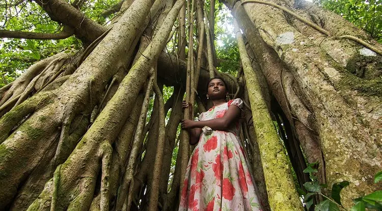 5-banyan