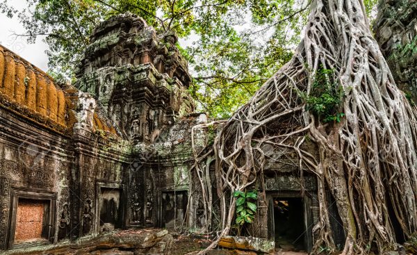 Ancient Khmer architecture. Ta Prohm temple with giant banyan tr