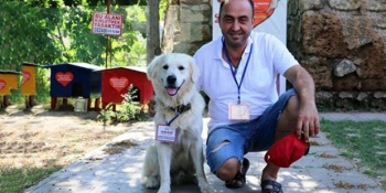 Antalya’nın Turizmini Arttıran Kedilerinin Korumalığını Yapan Fenomen Köpek Aras