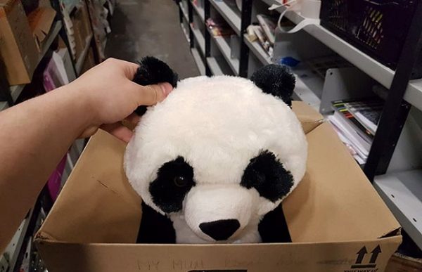 boy-write-note-buy-stuffed-panda-leon-ashworth-2