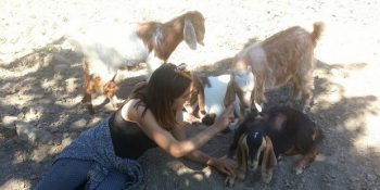 Yozgat’ta Hayvan Beslediği İçin Komşularınca Tehdit Edilip Evi Talan Edilen Genç Kız Ceren Sansar