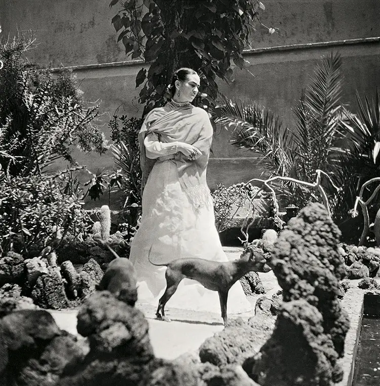 frida-kahlo-rare-photos-gisele-freund-7-595cd86f529fc__880
