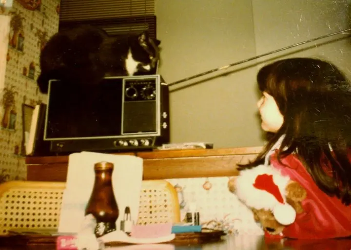 kedi_cafe (7)