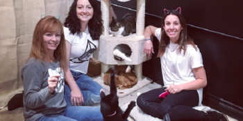 Bekarlığa Veda Partisini Kedi Cafedeki Sevimli Pisilerle Yapan Çılgın Kedi Kadın