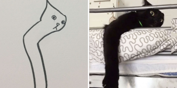 Gerçek Kedi Pozlarından Esinlenerek Çizilmiş ve Gerçeküstü Gibi Görünen 21 Muhteşem Çizim