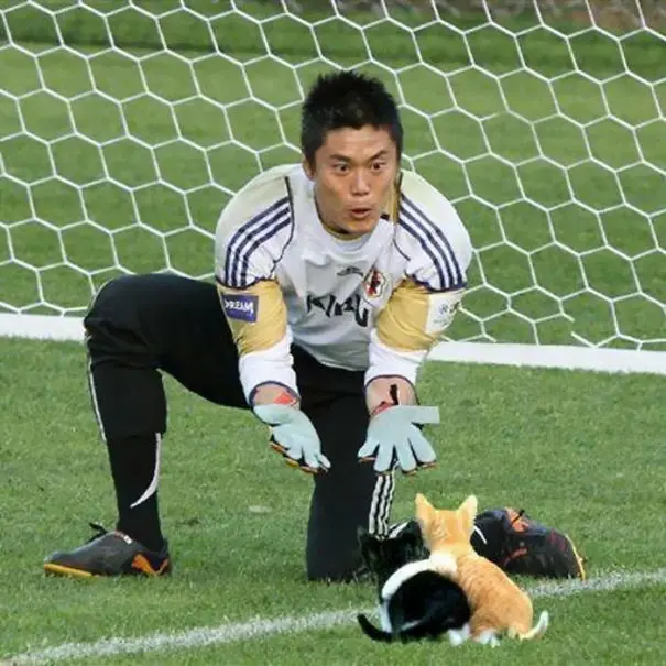 kedi_photoshop (3)