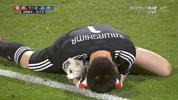 kedi_photoshop (9)