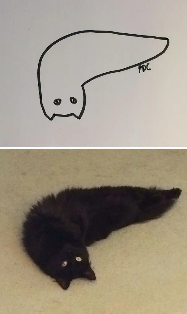 kedi_çizimleri (23)