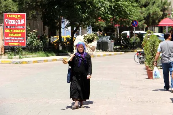 kesilen-agacini-omuzladi-neden-kestiniz-diye-9829533_o