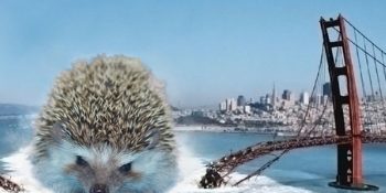 Dünyayı Kurtaran Süper Kirpi’nin Fantastik Dünyasından 27 Muazzam Kesit