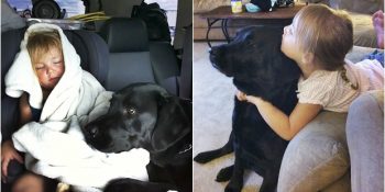 Çocuğuyla Köpeğine Aynı Anda Bakamayacağını İddia Edenlere İnat Dostluk Hikayesi