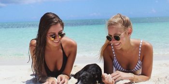 Tüm Gününüzü Kurtarılmış Köpeklerle Oynayarak Geçirebileceğiniz Cennet Gibi Ada