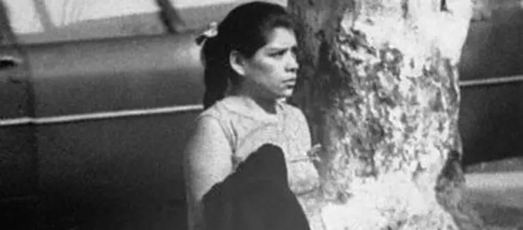 lina-medina-6912_w1020h450c1