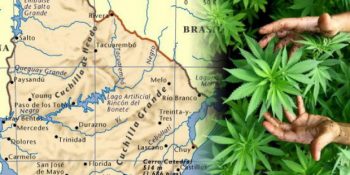 Uyuşturucu Kartellerinin Önüne Geçmek İçin Marihuanayı Yasal Hale Getiren Uruguay