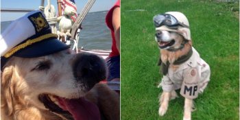 3 Ay Ömrü Kalan Köpeğinin Son Günlerini Mutlu Geçirten Ailenin Dopdolu Yapılacaklar Listesi