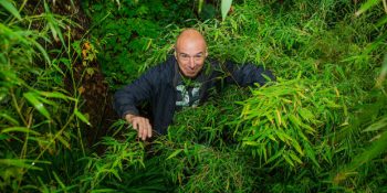 Arka Bahçesini Yağmur Ormanına Çevirip Ziyarete Açan 61 Yaşında Doğa Aşığı Adam