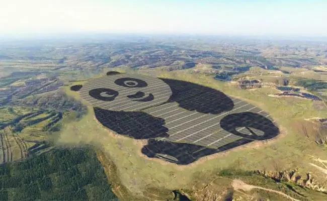 panda_yesil_enerji (3)