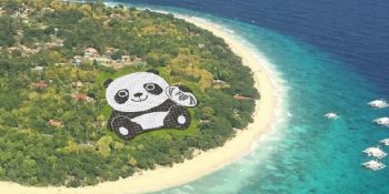 Çin’in Yerel Hayvanı Panda İle Süslü Güneş Enerjisi Tesisleri ve Çevreye Etkileri