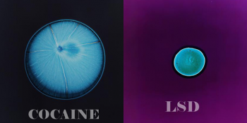 Mikroskoptaki Görüntüleriyle Şaşırtan 9 Uyuşturucu Madde ve İlginç Geçmişleri