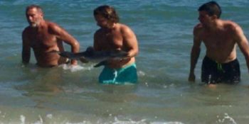 İnsanların Selfie Çılgınlığı Yüzünden Hayatını Kaybeden Yavru Yunus Balığı